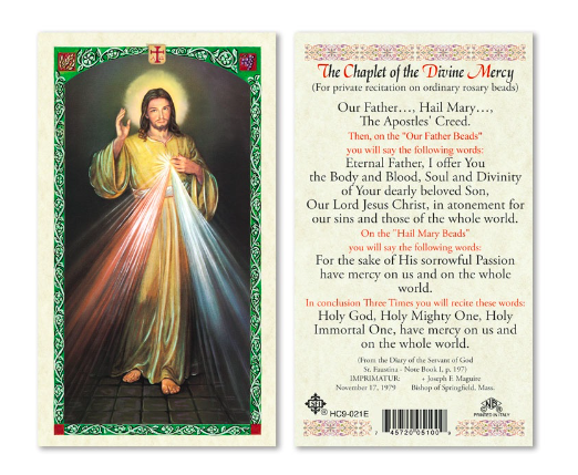 Divine Mercy Chaplet Laminated Prayer Cards Set of 25 - Holy Lines